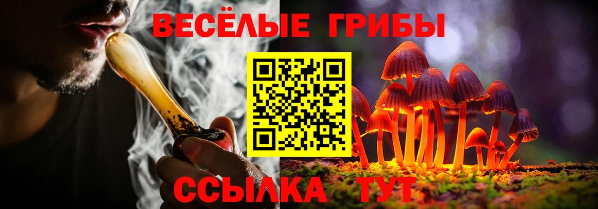 Троицк  Галлюциногенные грибы прущие грибы  Вход с VPN  дарнет шоп  Псилоцибиновые грибы прущие грибы 